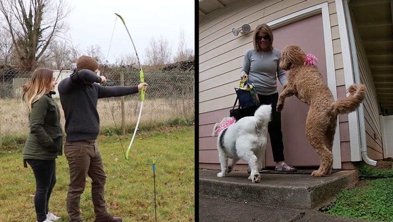 Families Celebrate New Additions With Fun Gender Reveals