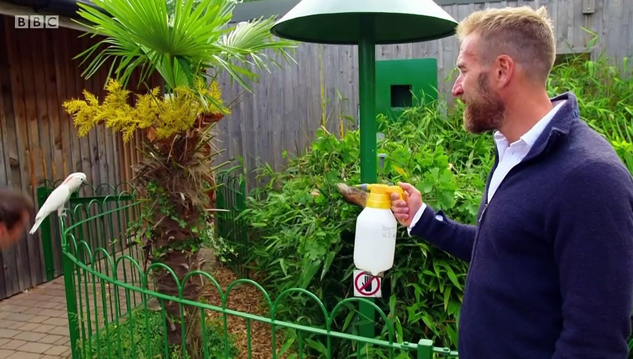 Animal Park Compilation Specials S01E01 (18 May 2020)