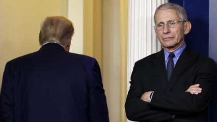 Awkward: How Fauci Describes Working Under The Trump Administration