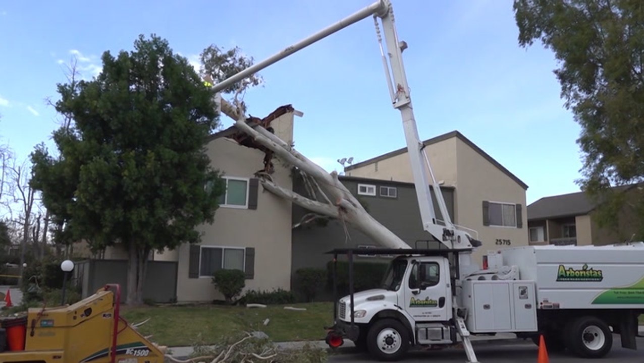 Trucks tipped, trees toppled and new fires sparked