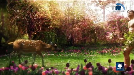 GENESIS - EPISÓDIO 01 - [19-01-2021] P1 COMPLETO