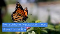 Monarch butterfly population moves closer to extinction, and other top stories in US news from January 20, 2021.