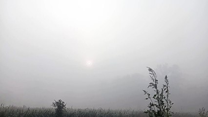 कोहरे की आगोश में समाया शाजापुर