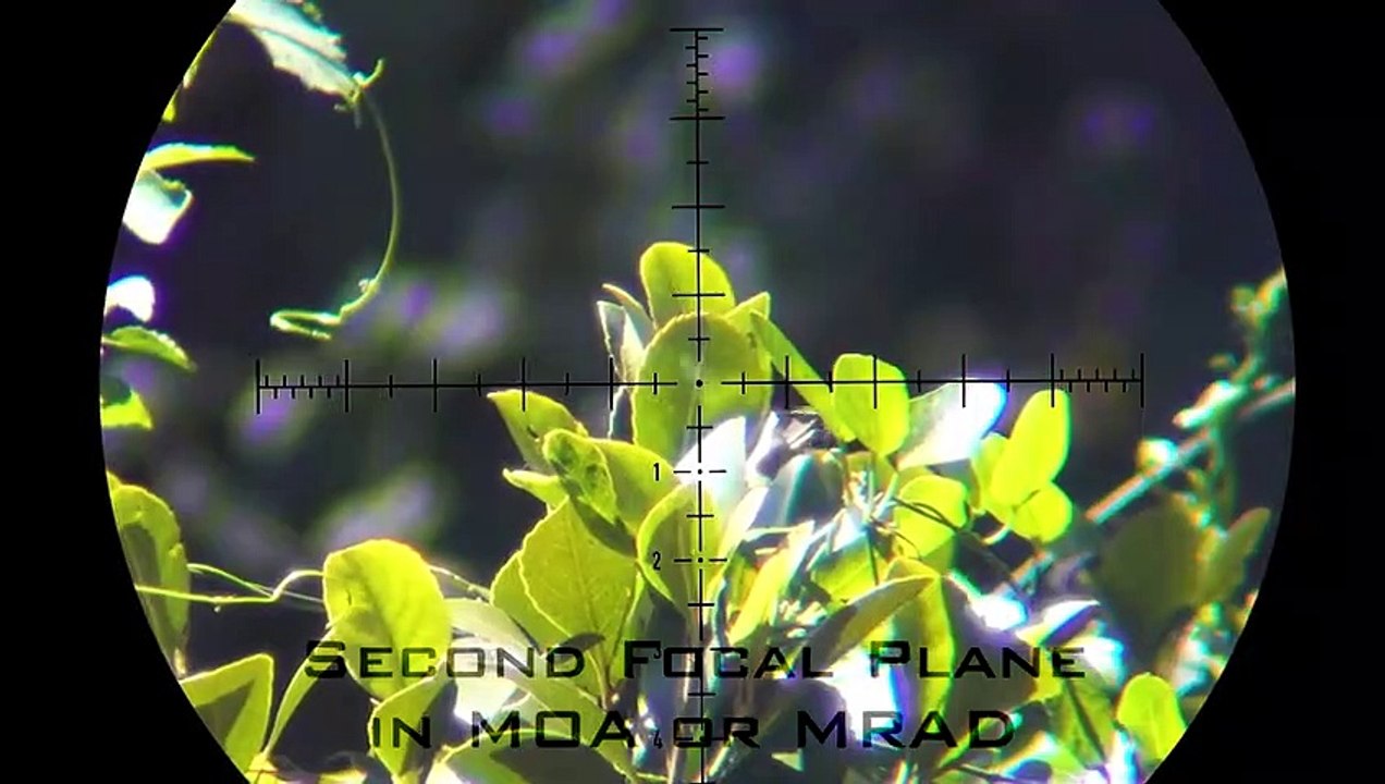Element Optics Launch Video _ BIG Announcement