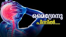 മൈഗ്രേനു പിന്നില്‍! രോഗലക്ഷണങ്ങളും കാരണങ്ങളും അറിയാം Migraine Symptoms, Treatment