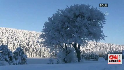 Bolu eksi 32 dereceyle rekor kırdı | Video