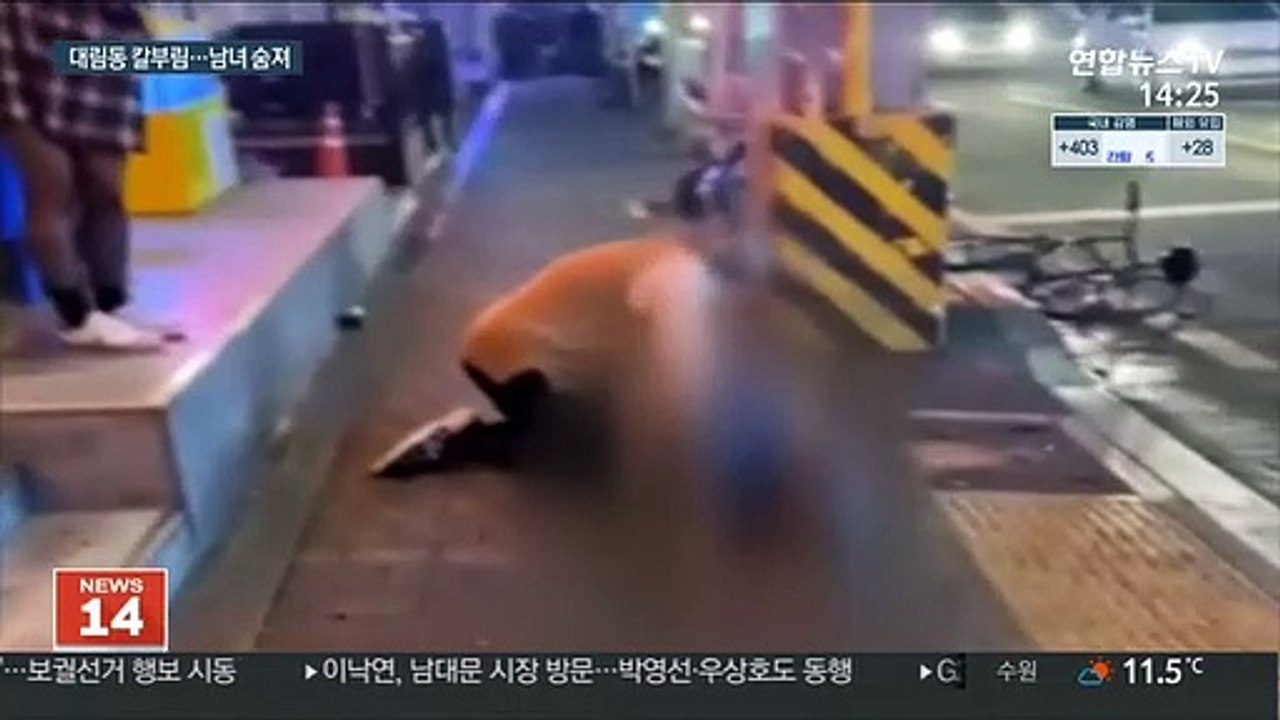 서울 대림동서 흉기 휘두르고 도주…2명 숨져