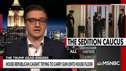 Republican Congressman Caught Trying To Carry Gun Onto House Floor - All In - MSNBC
