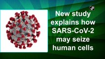 New study explains how SARS-CoV-2 may seize human cells