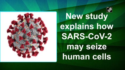 New study explains how SARS-CoV-2 may seize human cells