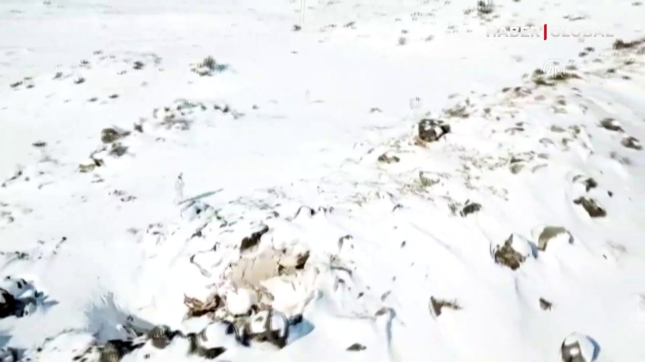 Eren-3 Ağrı Dağı operasyonu başladı