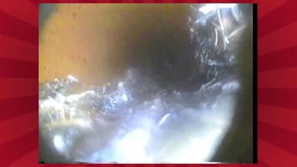Mr. Rooter Plumbing - Hydroscrub Technology - Toronto - ON