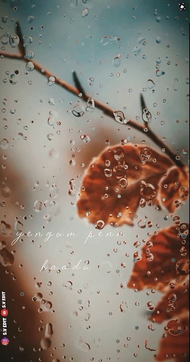 Yuvan Shankar Raja song Tamil. Melody Yuvan Shankar Raja song