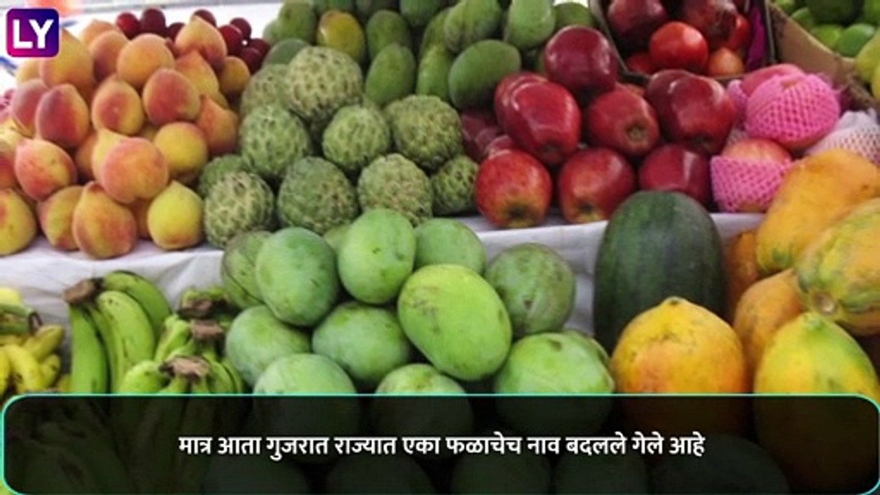 Vijay Rupani, Gujarat CM, On Dragon Fruit: गुजर...