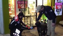 Polis Ekipleri, Eksi 10 Derecede Sokak Hayvanlarını Unutmadı