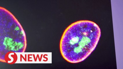 Chinese scientists may have key to delaying ageing