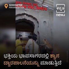 This Dog Video Gone Viral On Social Media