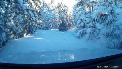 Metrelerce kara rağmen yaban hayvanlarını unutmadılar