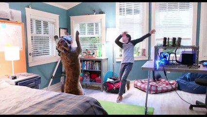 THINK LIKE A DOG Official Trailer (2020) Megan Fox, Josh Duhamel Movie HD