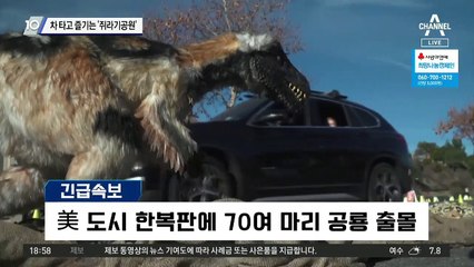 차 타고 즐기는 ‘쥐라기공원’