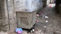 Diyarbakır’da vahşet... Yeni doğmuş bebeğin cansız bedeni çöp konteynırında bulundu