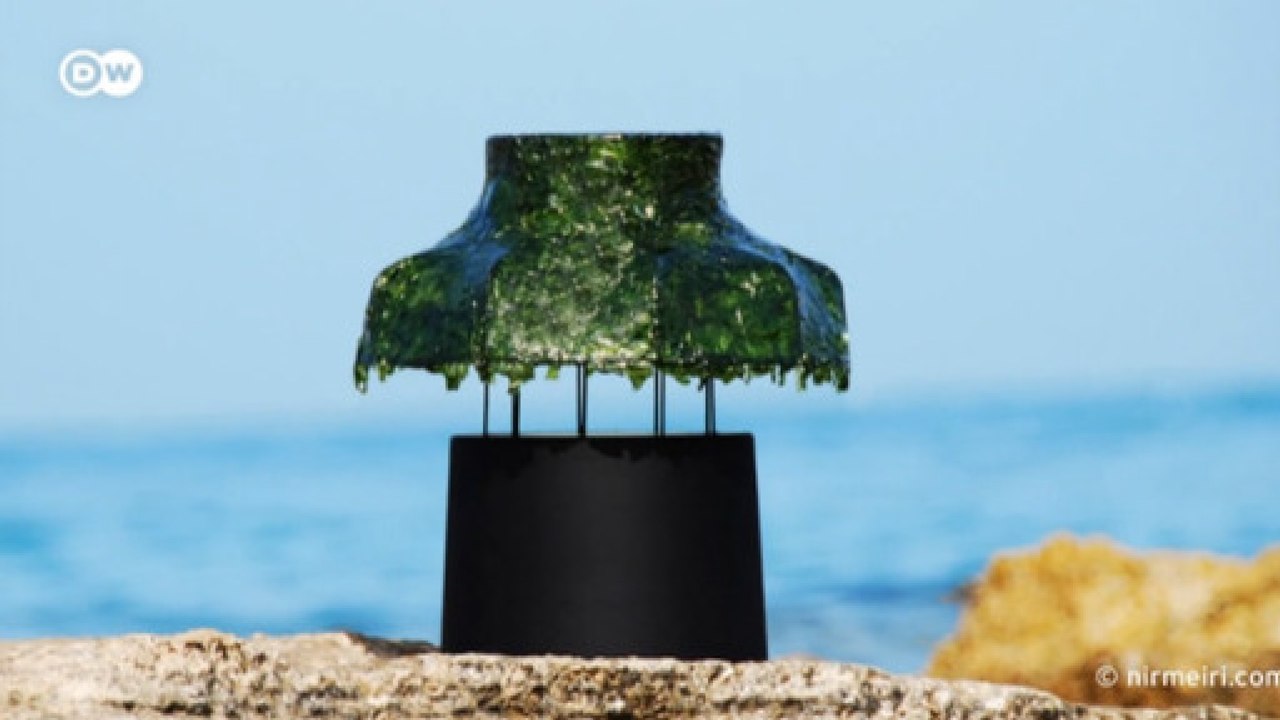 Fonte renovável de inspiração: natureza migra para objetos de design