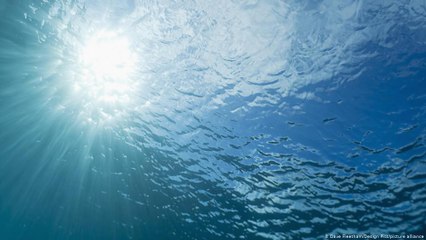 Futurando - Edição de 02/12/20