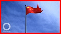 3 Berita Unik di China yang Terjadi di Awal 2021 - TomoNews