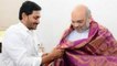 Ys Jagan Discusses Key Issues With Amit Shah | Oneindia Telugu