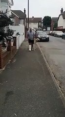 كلب يخدع صاحبه ويغرمه 400 دولار: ماذا حدث؟