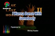 Whitney Houston I Wanna Dance With Somebody Karaoke