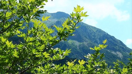 Άγραφα: 3.000 στρέμματα δασικής γης μετατρέπονται σε φωτοβολταϊκό πάρκο