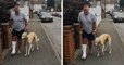 Cet homme découvre que son chien boîtait simplement pour s'adapter à sa démarche causée par son plâtre à la jambe