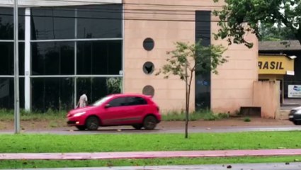 Vídeo mostra ação de vândalo em imóvel localizado na Avenida Tancredo Neves