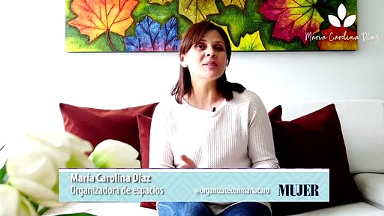 Tips para ordenar |¿Cómo organizar la biblioteca? - Nex Panamá