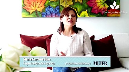 Tips para ordenar |¿Cómo organizar la biblioteca? - Nex Panamá