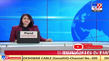 Bird flu fear in Dahod after 4 birds found dead Tv9GujaratiNews