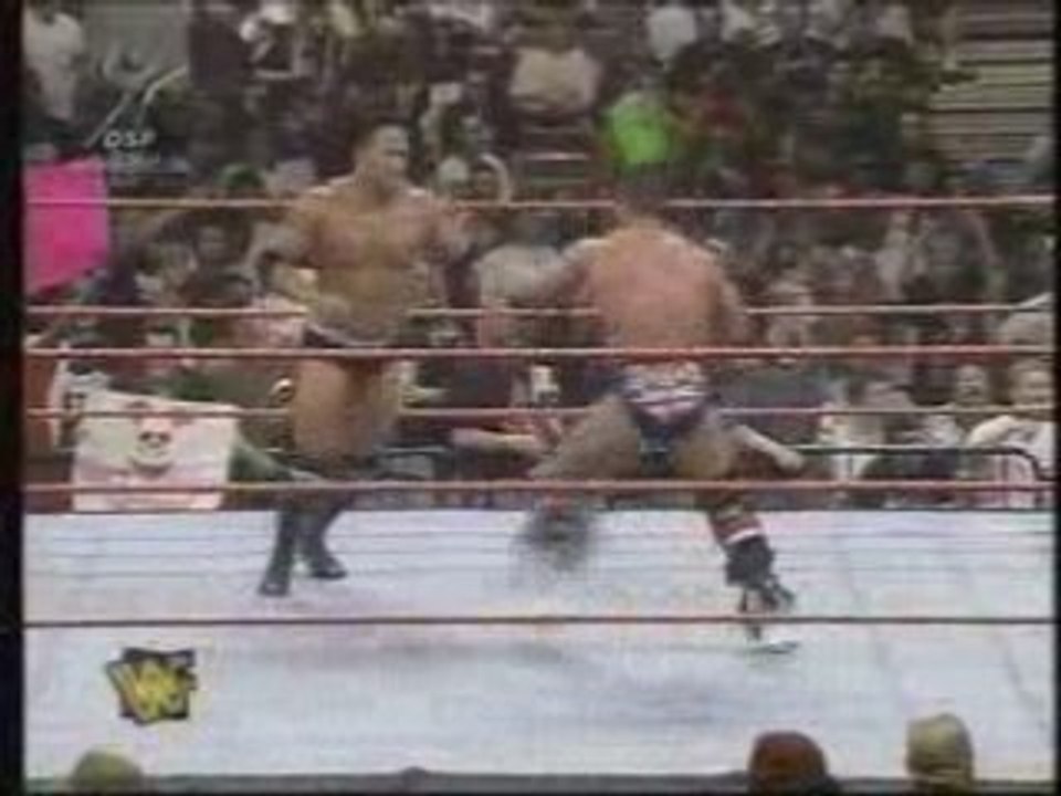 British Bulldog vs. The Rock