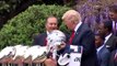 Bill Belichick declines Presidential Medal of Freedom