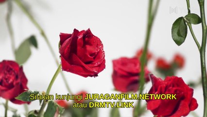 To Love 2020 E29-SUB INDO