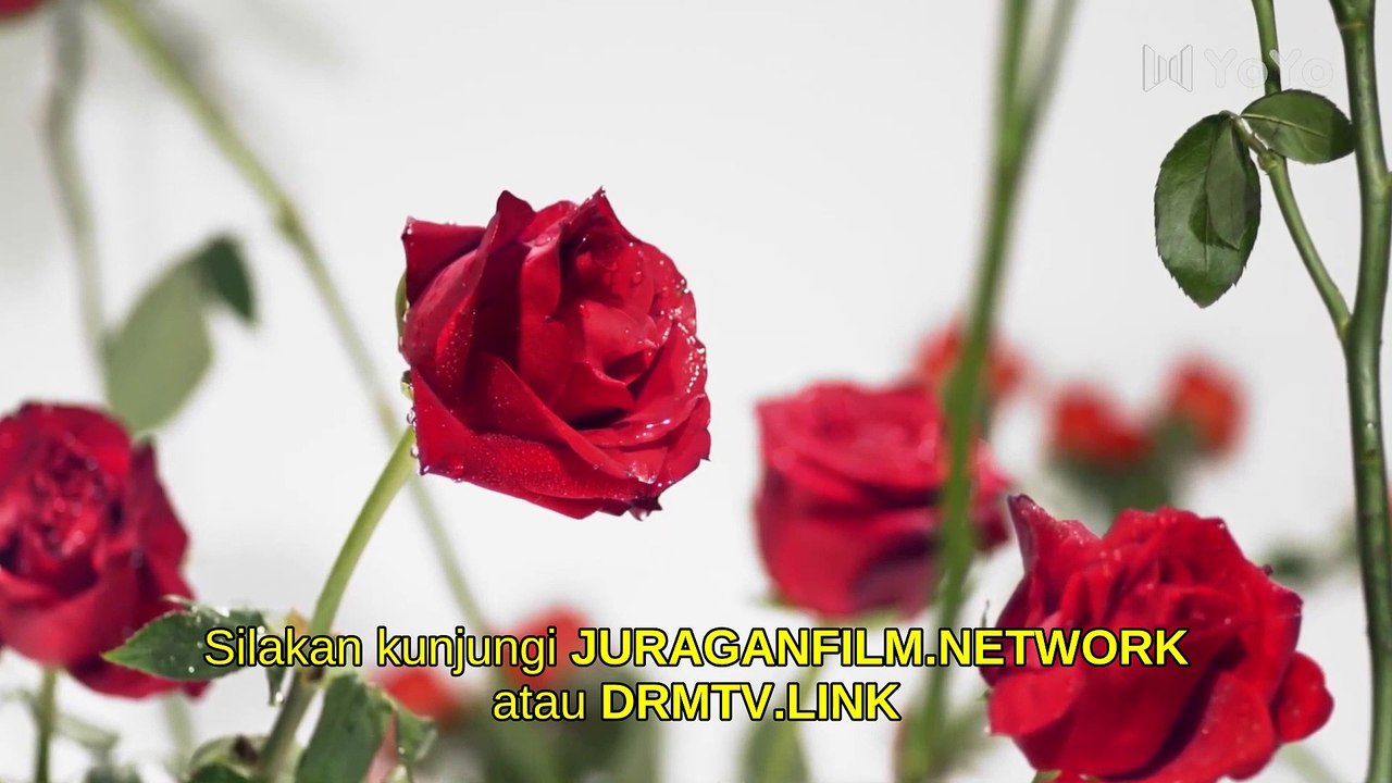 To Love 2020 E29-SUB INDO