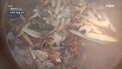 [자연밥상] 독버섯을 먹는다고요?! 없어서 못 먹지~!