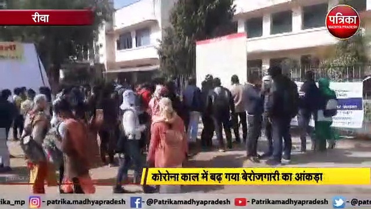 रोजगार मेले का शुभारंभ, यहां सैंकड़ों युवा रोजग...