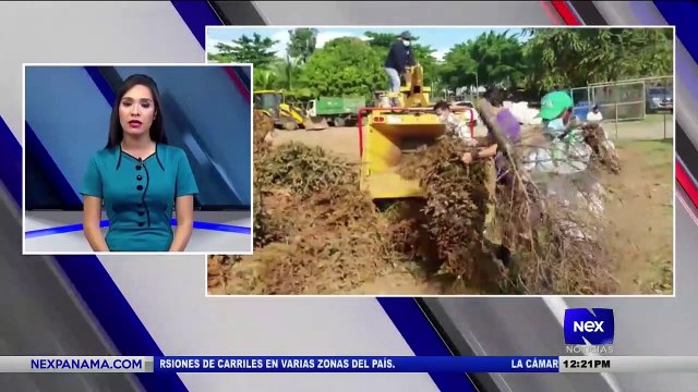 Entrevista a Pedro Castillo, Director de la Autoridad de Aseo - Nex Noticias