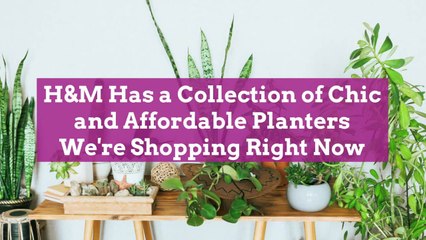 H&M Has a Collection of Chic and Affordable Planters We're Shopping Right Now