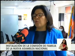 Comisión Permanente de Familia de la AN velará por la protección y desarrollo integral de la familia