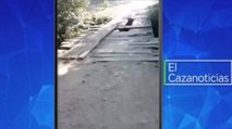 El Cazanoticias: sigue en malas condiciones el puente peatonal en Astrea, Cesar