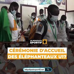 Cérémonie d'accueil des éléphanteaux U17