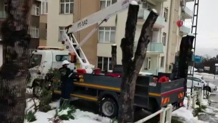 Tellerde asılı kalan martıyı itfaiye ekipleri kurtardı