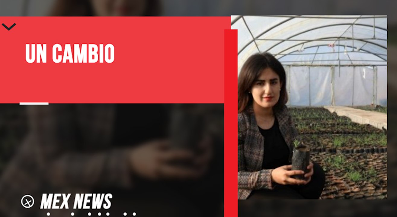 JOVEN PRETENDE PLANTAR UN MILLÓN DE ROBLES EN LOS PRÓXIMOS 5 AÑOS, COMO PARTE DE UN PROYECTO DE CONCIENTIZACIÓN AMBIENTAL.